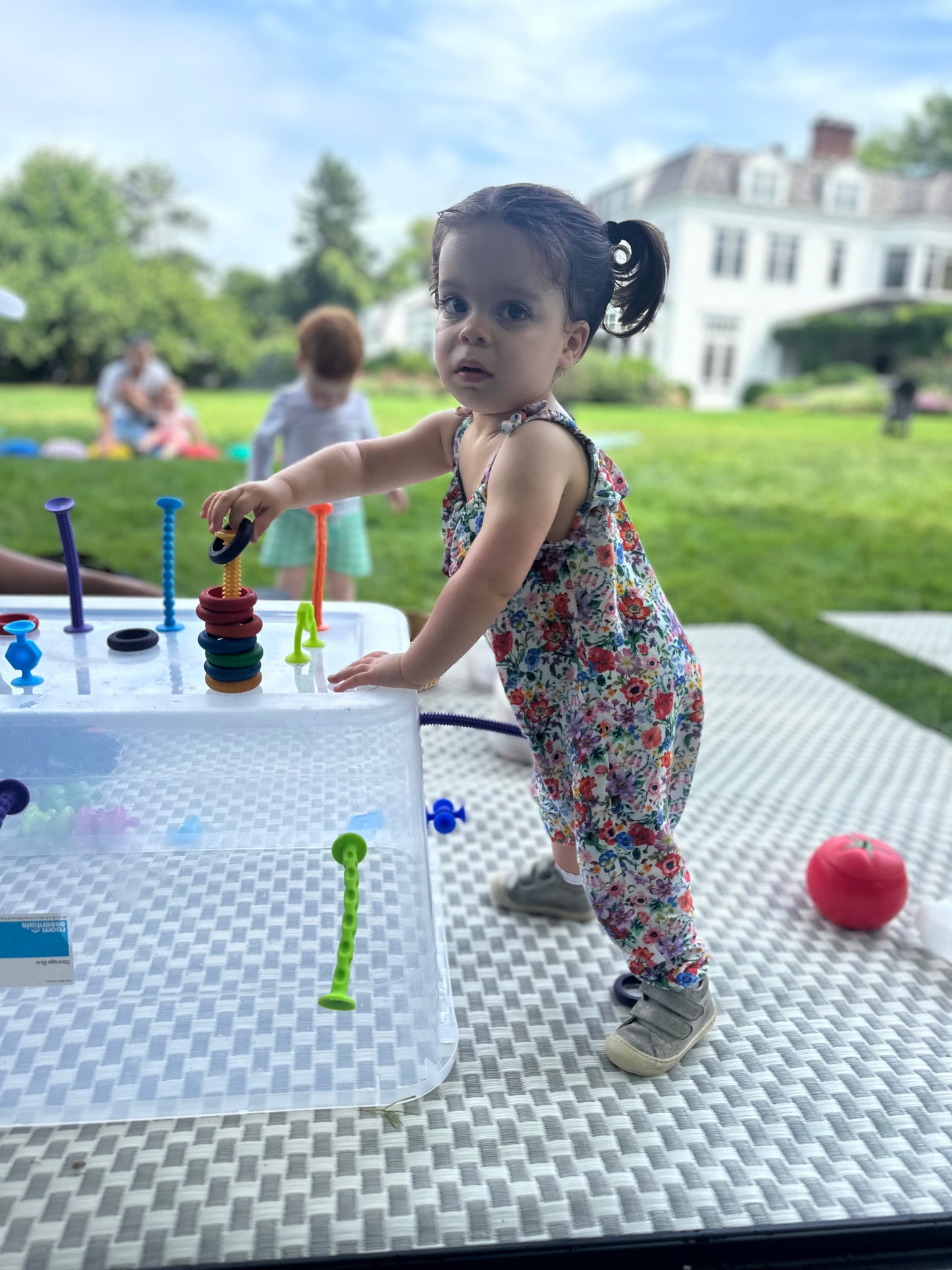 Mini Camp: Tuesdays and Fridays Easthampton